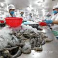 Congélateur de souffle à tunnel pour iQF fruits de mer